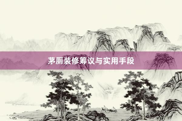 茅厕装修筹议与实用手段