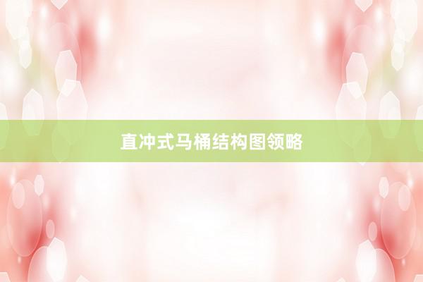 直冲式马桶结构图领略