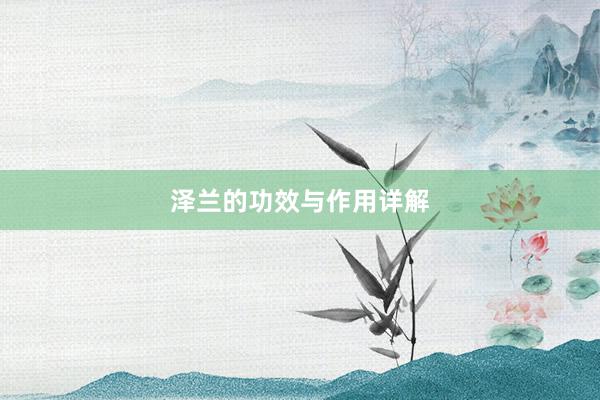 泽兰的功效与作用详解
