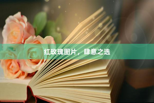 红玫瑰图片，肆意之选