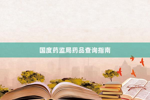 国度药监局药品查询指南
